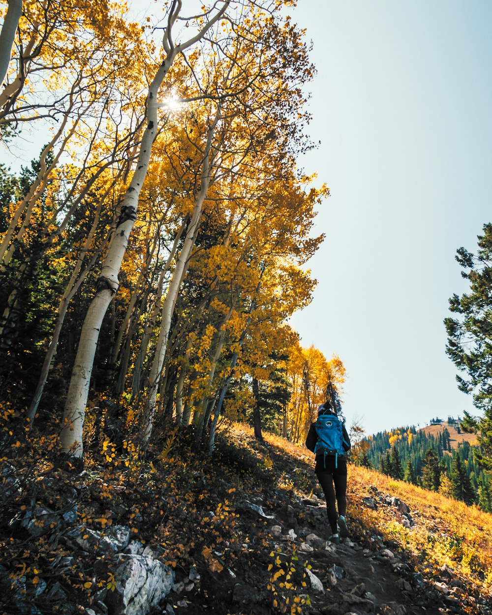 blue hiking backpack