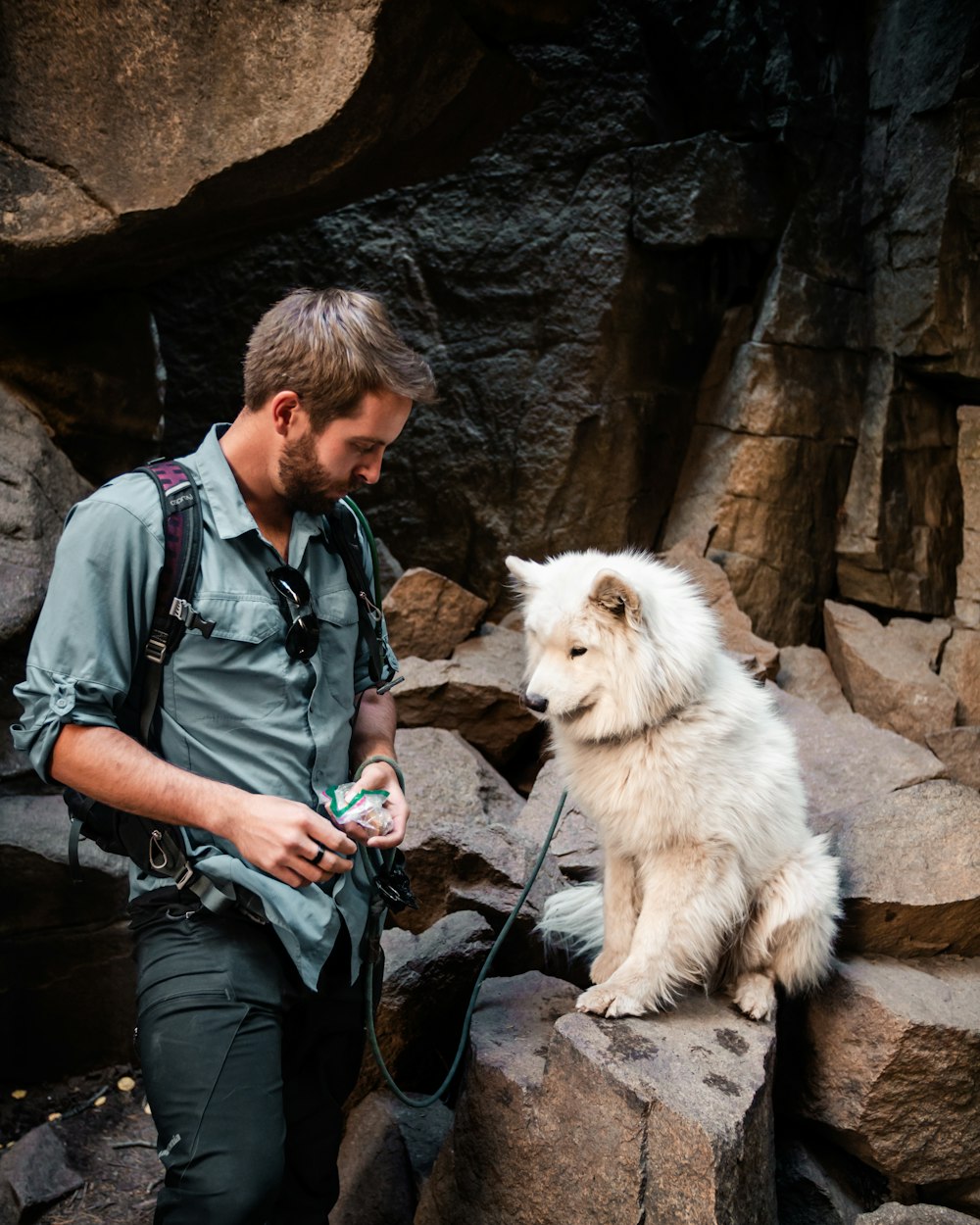 man wearing green collared button-up long-sleeved shirt standing near short-coated white dog