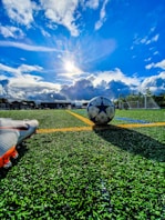 blue and grey soccer ball on green field under white and blue sky during daytime