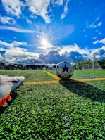 blue and grey soccer ball on green field under white and blue sky during daytime