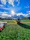 blue and grey soccer ball on green field under white and blue sky during daytime
