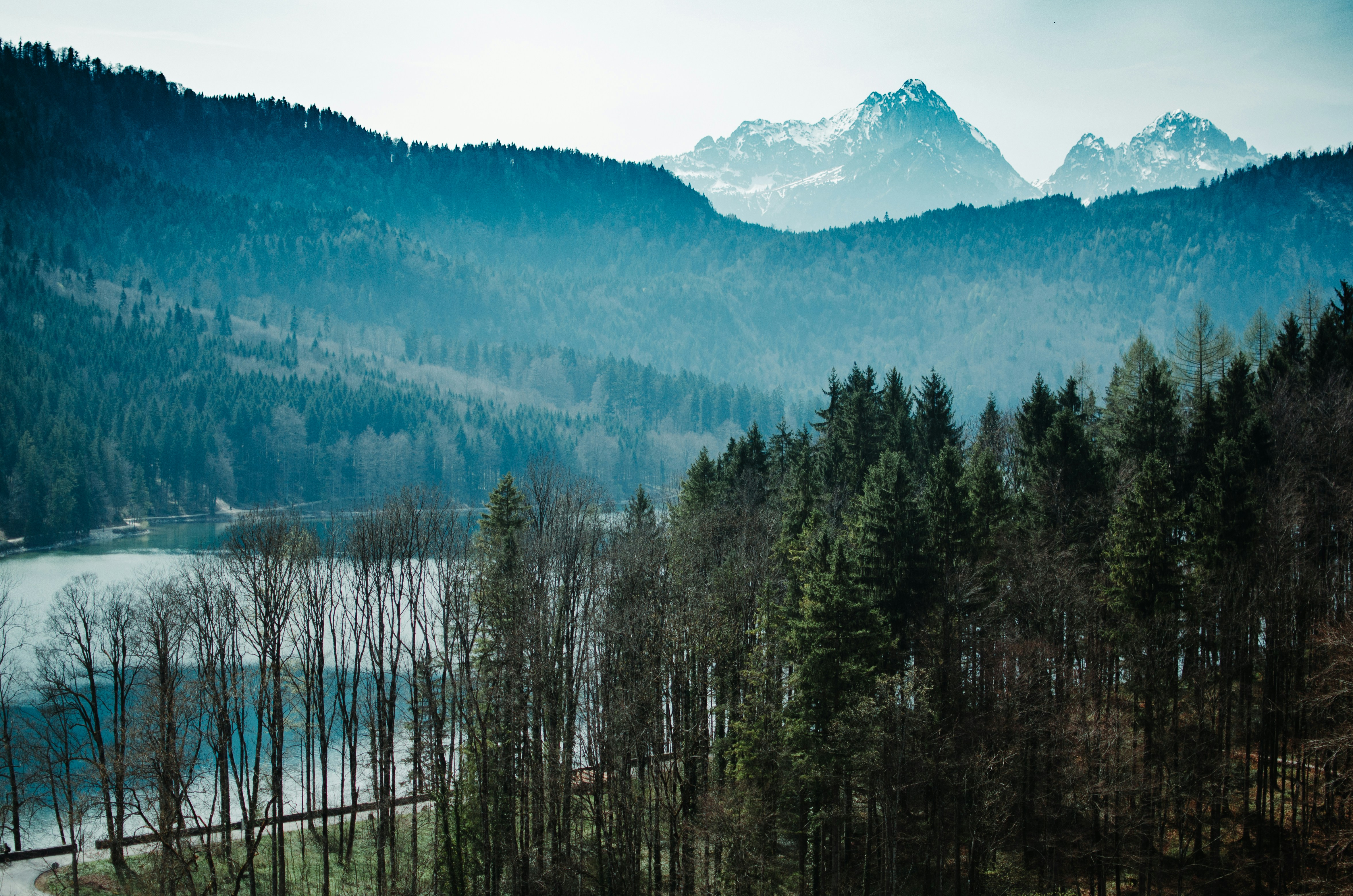 Photo by liskozac