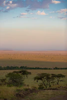 A golden sunrise casting warm light over the vast savanna dotted with acacia trees.