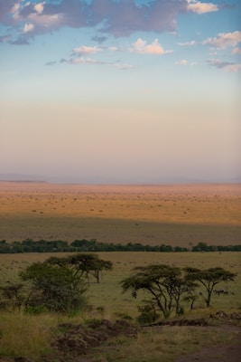 A vast savannah landscape stretches across the horizon, featuring scattered acacia trees and a flat, open plain. The sky above is expansive with a gradient from blue to a soft orange hue, dotted with fluffy clouds. The land appears to bask in the warm glow of the setting or rising sun.