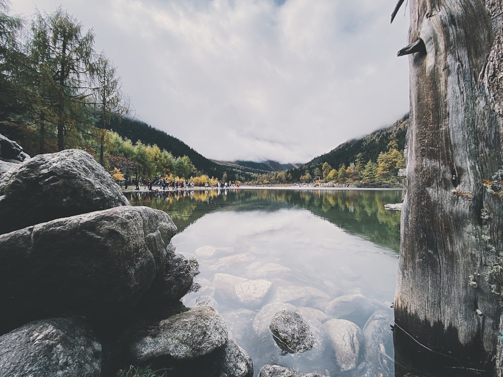 reflection of trees and clouds on body of water