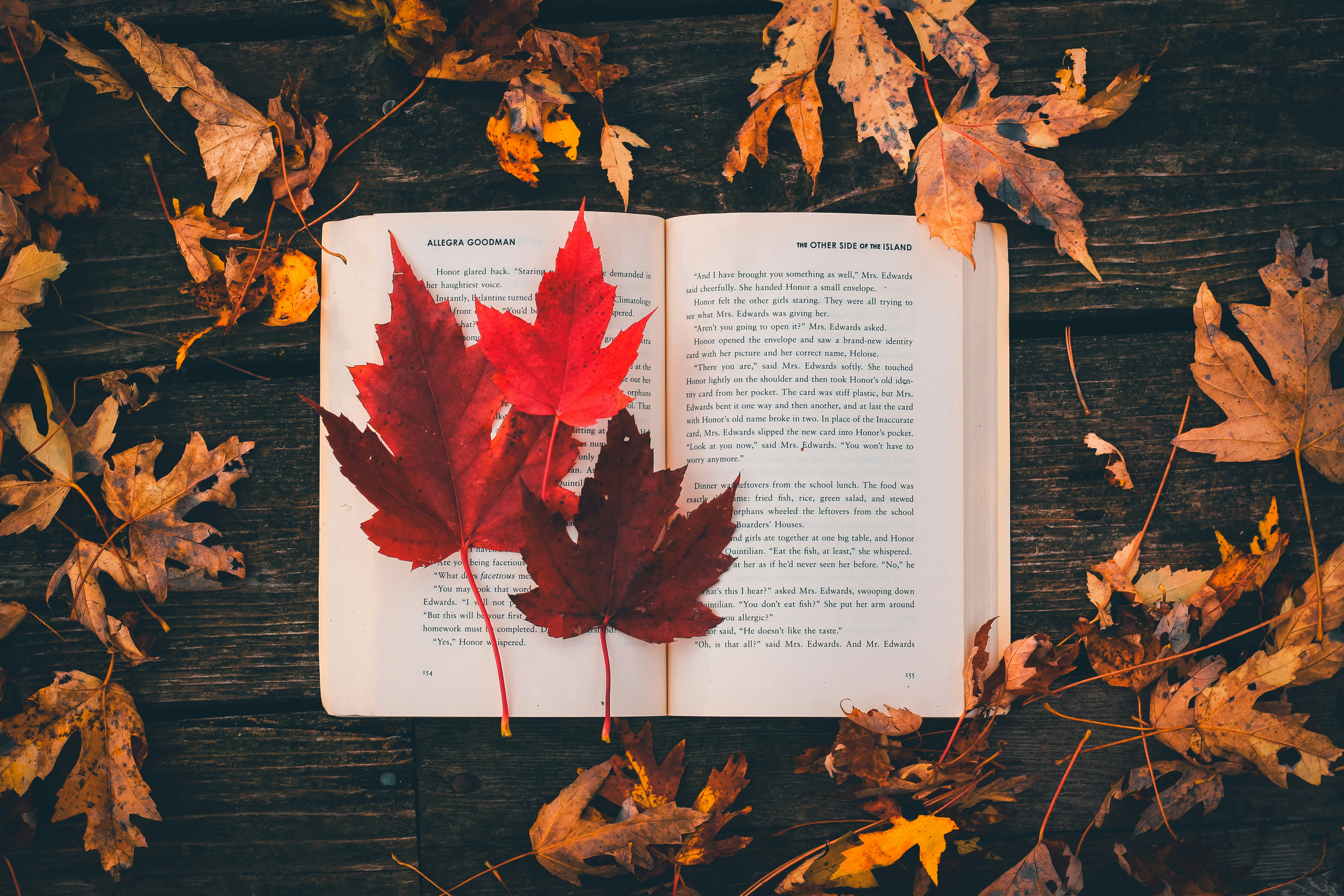 Books to read during autumn. Stories that remind you of fall leaves.