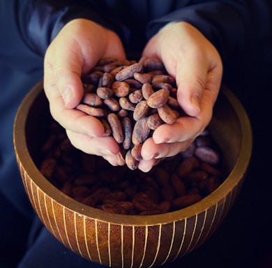 Close-up of organic criollo cacao beans in a rustic wooden bowl surrounded by green leaves.
