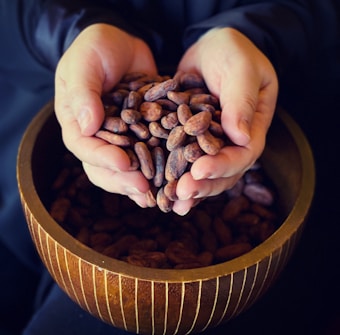 Hands gently holding a handful of cocoa beans over a wooden bowl filled with more cocoa beans. The lighting is soft, enhancing the rustic and natural appearance of the scene.