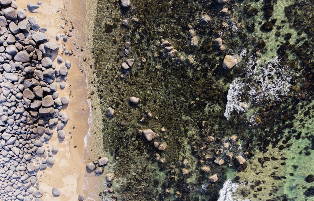 aerial photography of rocks on seashore