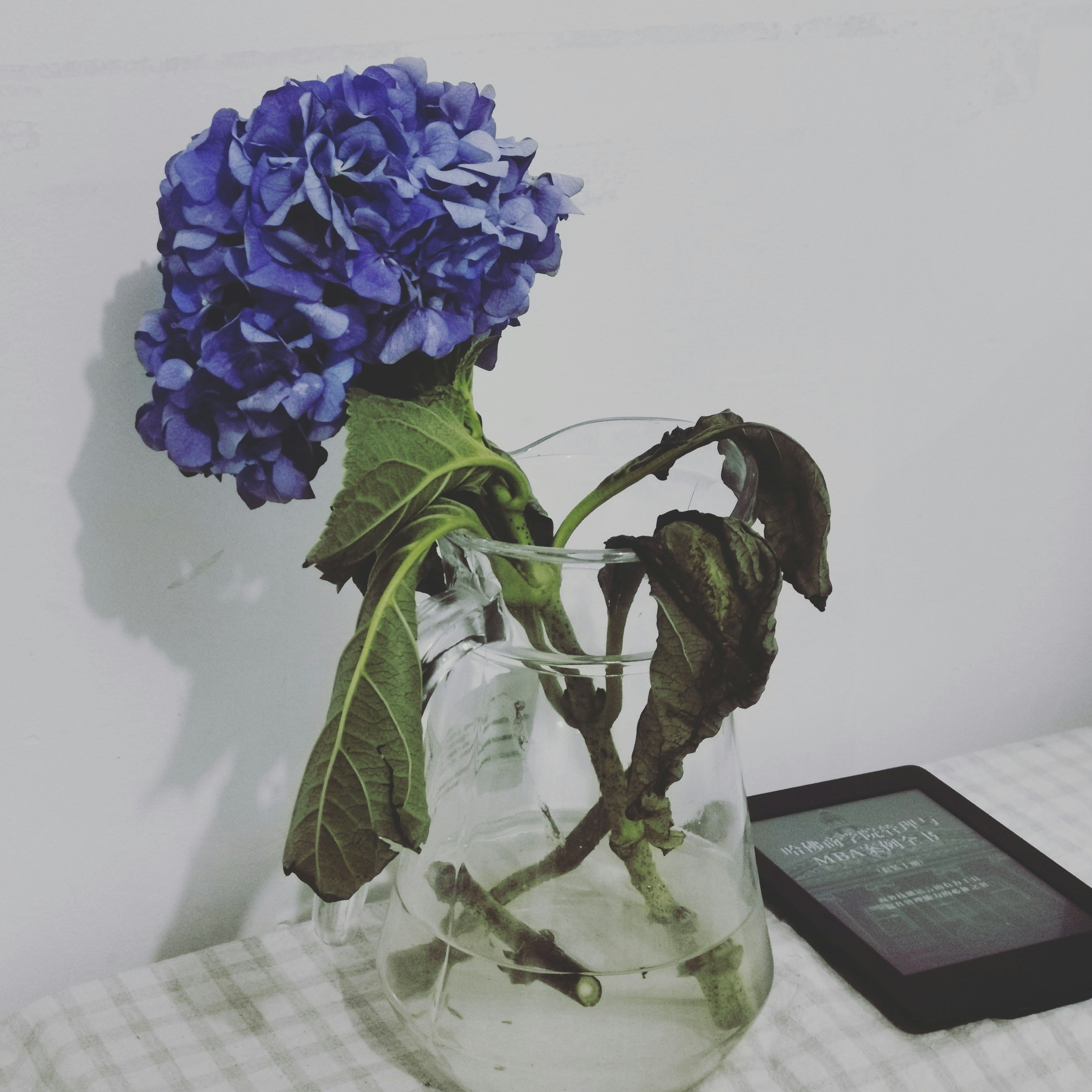 photo-1570505712855-2aecb86b835a?ixid=M3wxMjA3fDB8MXxzZWFyY2h8MTB8fHJlY292ZXIlMjBpbnN0YWdyYW0lMjBhY2NvdW50fGVufDB8fHx8MTc2OTQwNjg2Mnww\u0026ixlib=rb-4.1.0