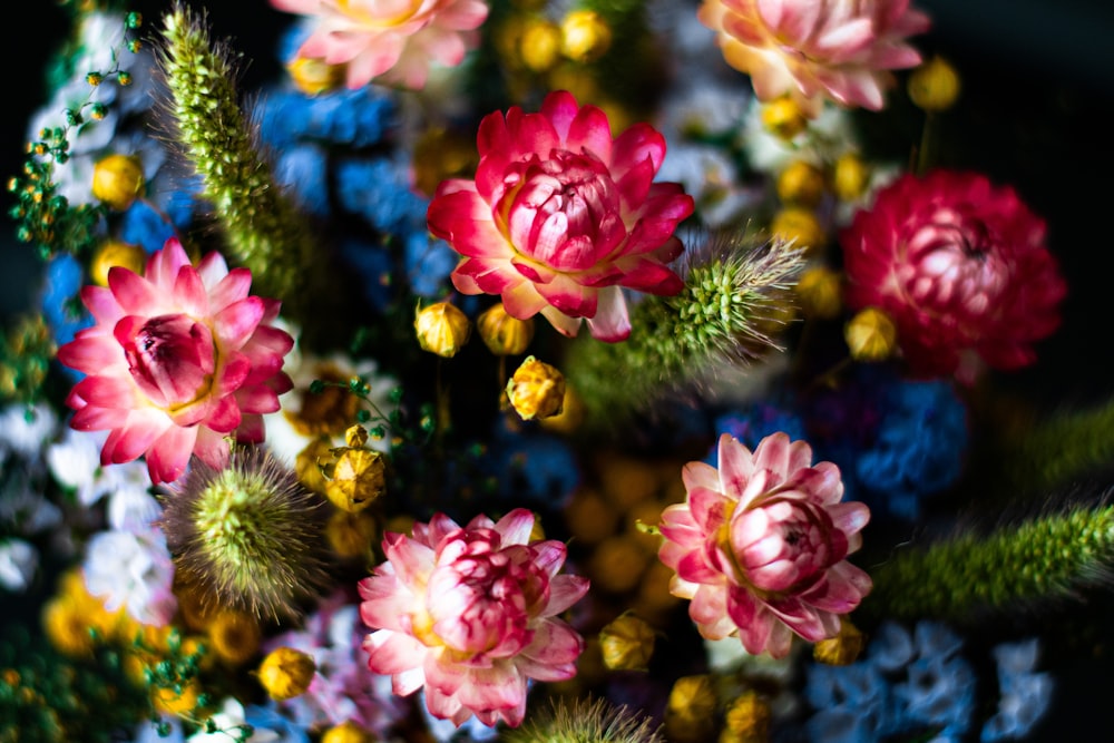 bouquet of variety of flowers