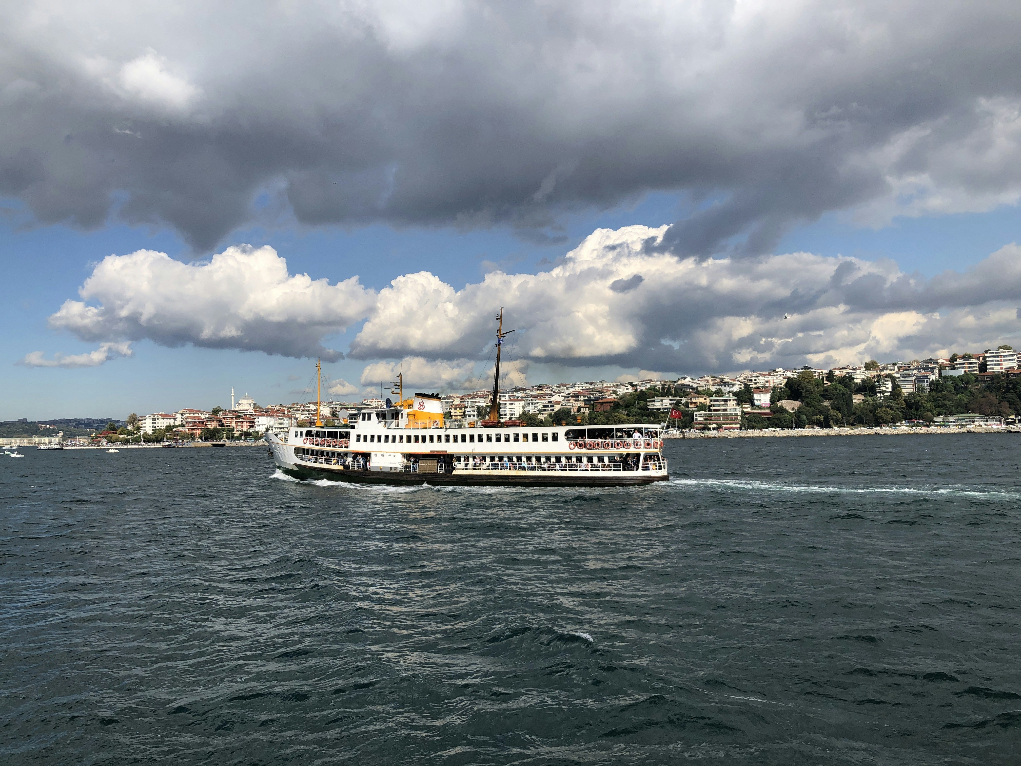 white ship