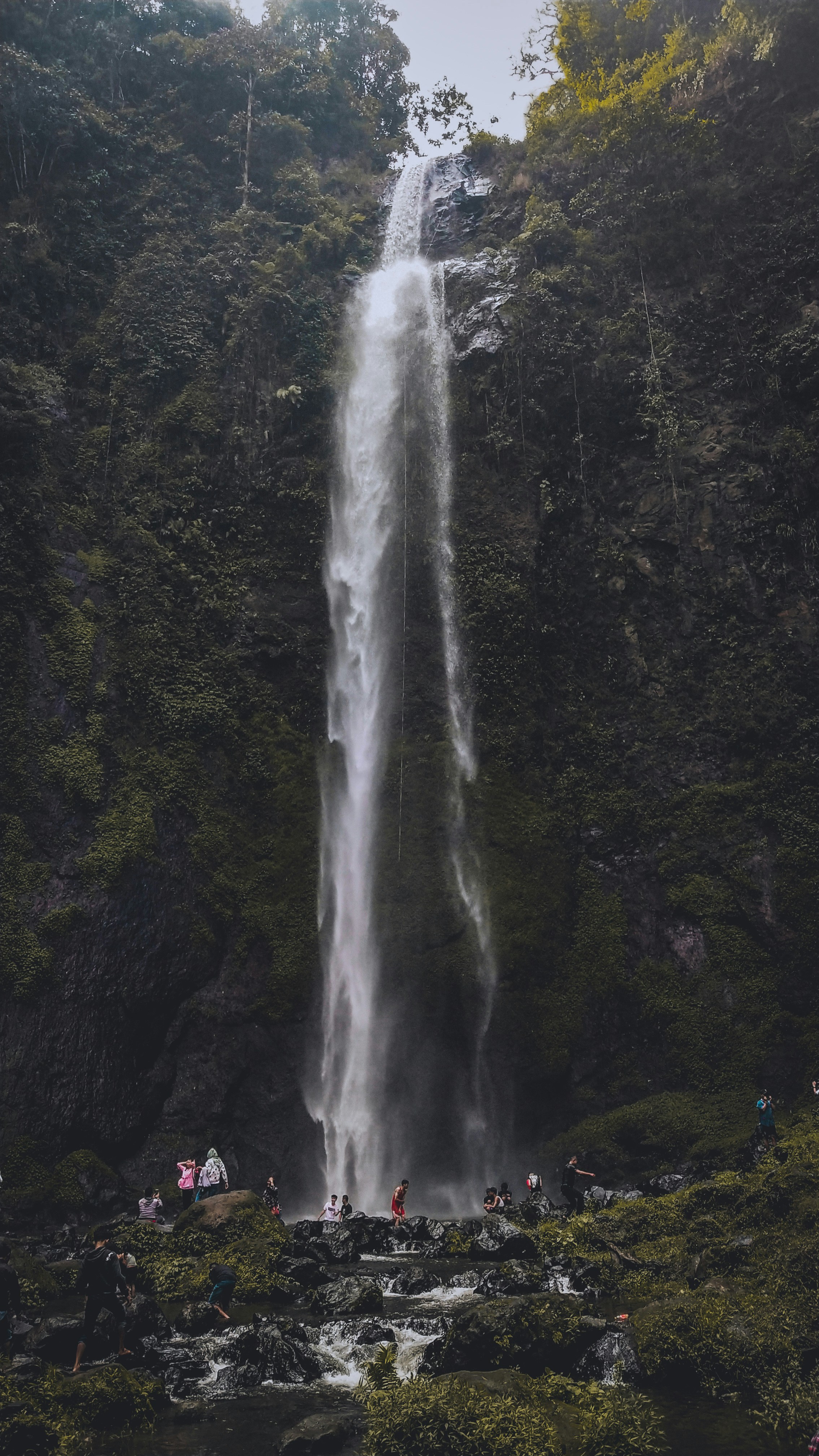 Photo by jaleenovrijal