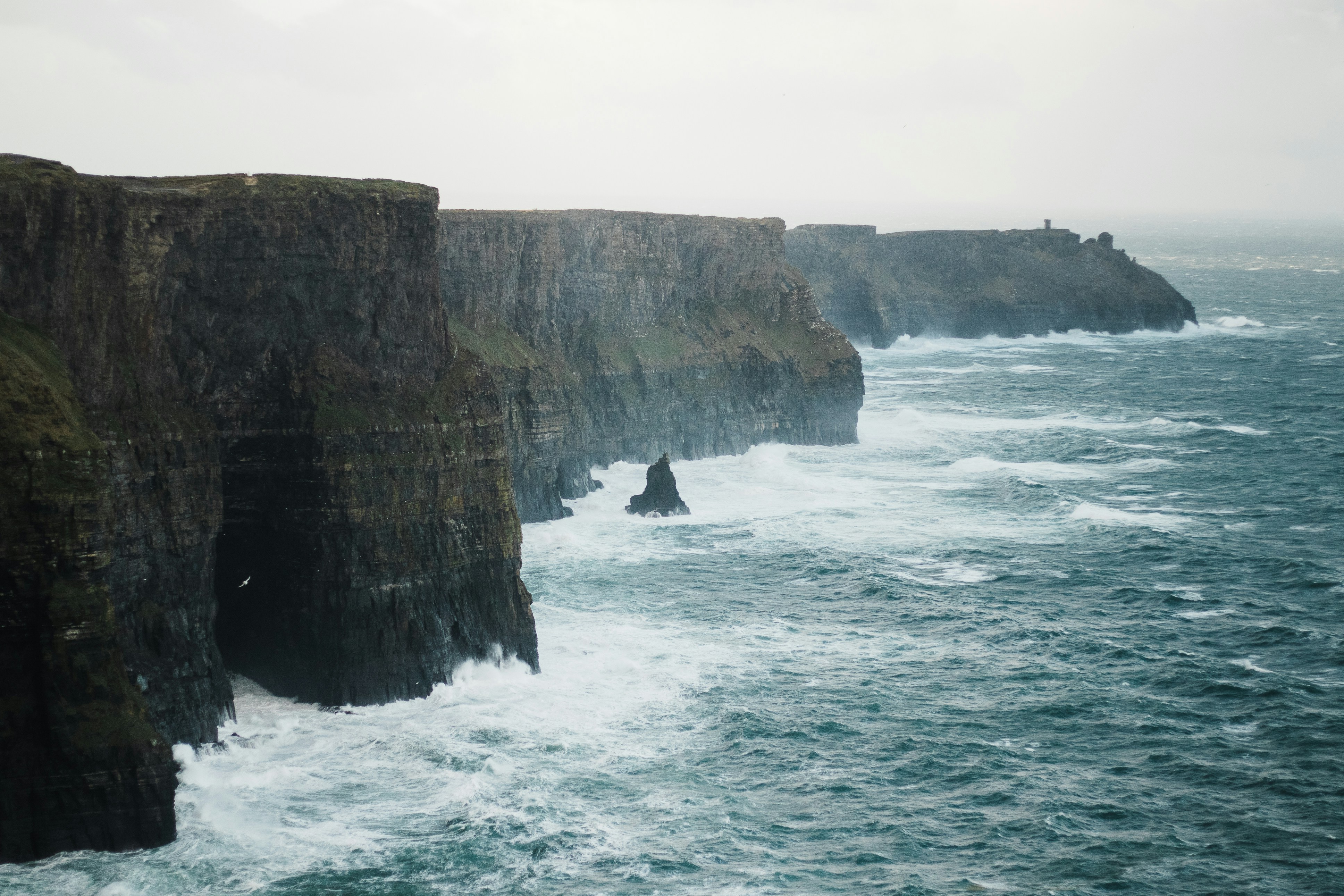 Photo by shannondouglas