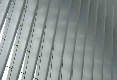 A series of vertical, parallel slats or panels made of glass or a similar translucent material, allowing diffused light to pass through. The structure appears geometric and modern, with a slight curvature to the panels.