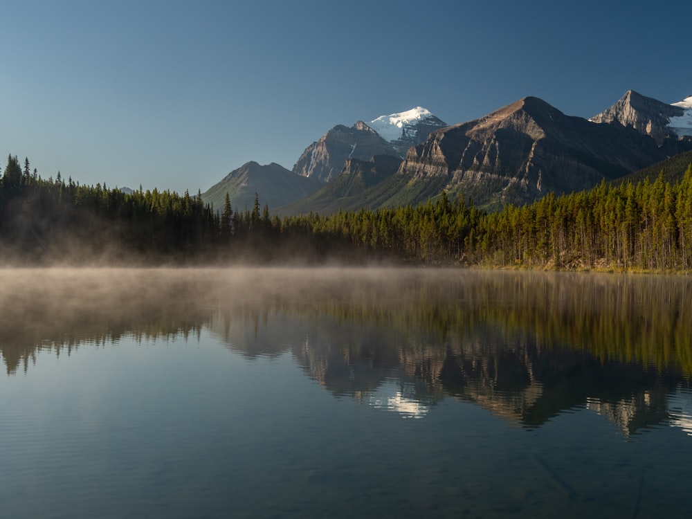 Riflessione degli alberi sullo specchio d'acqua durante il giorno