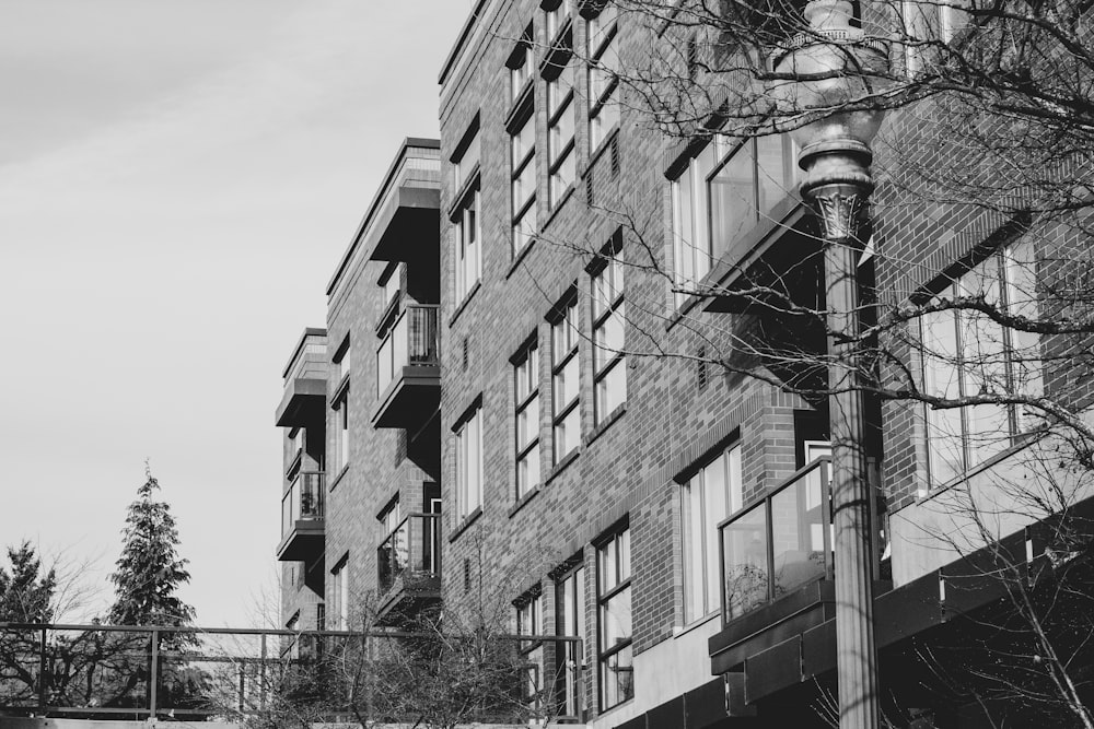 grayscale photo of buildings