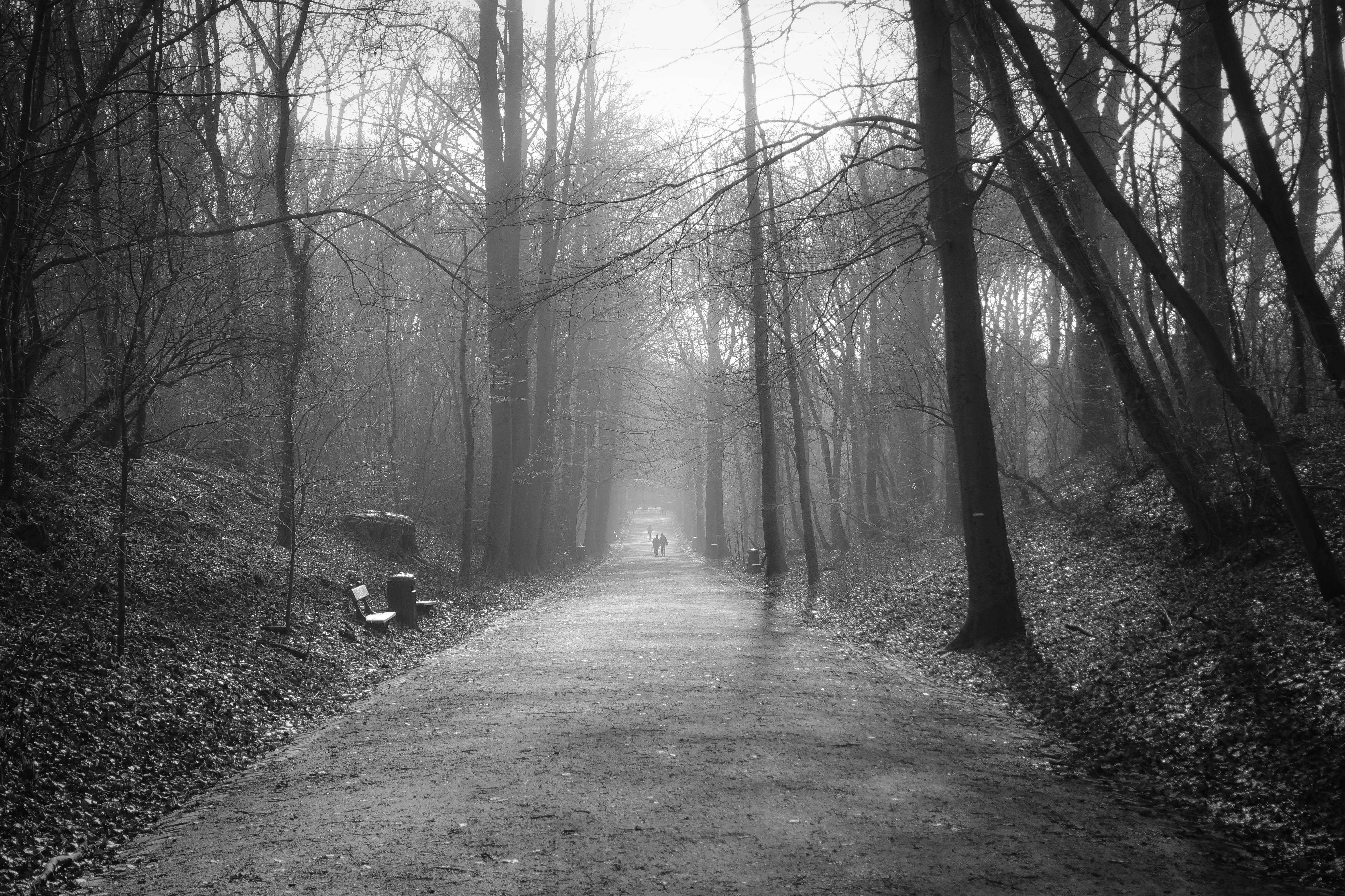 Photo by michelstock