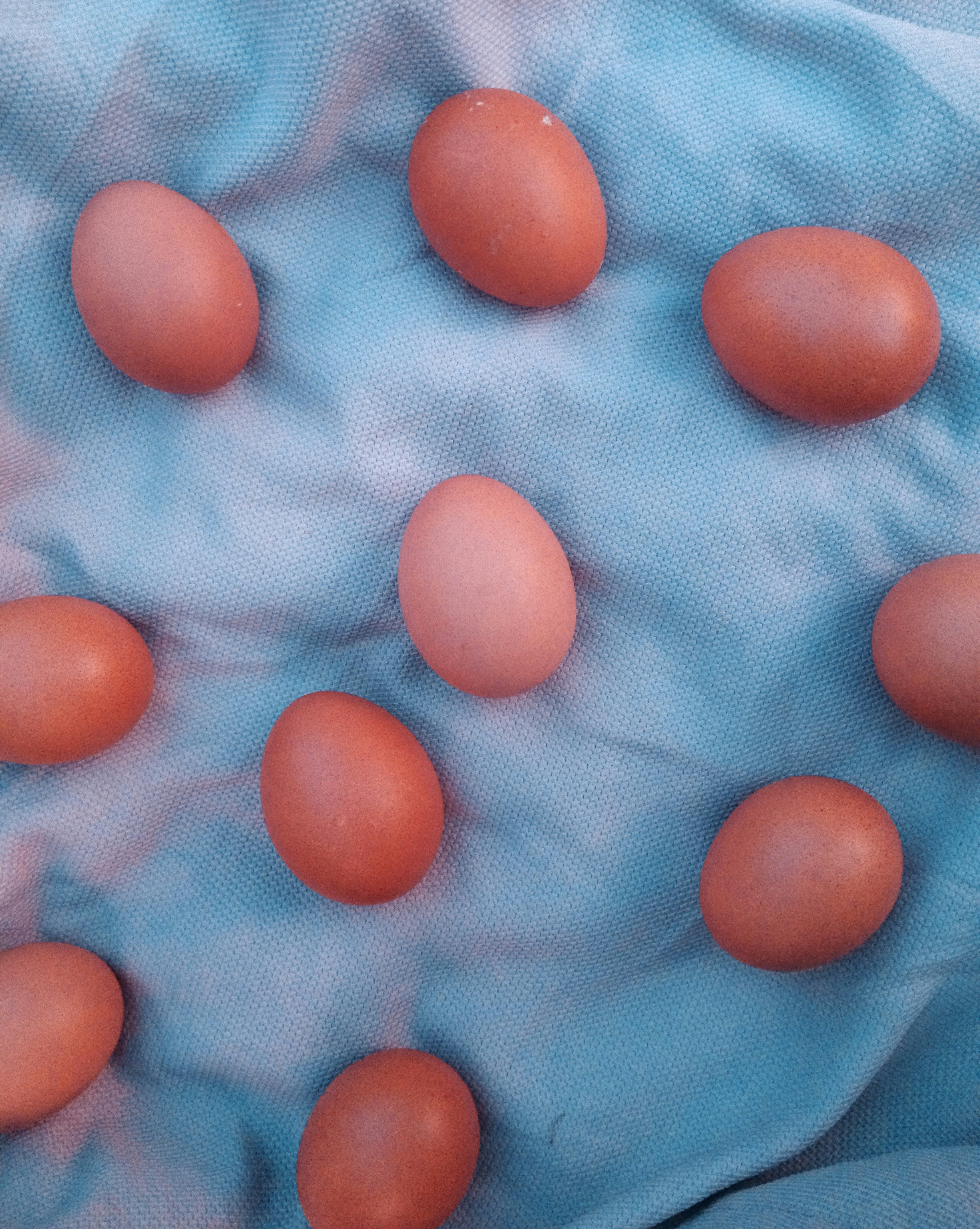 Photo by abbielivable