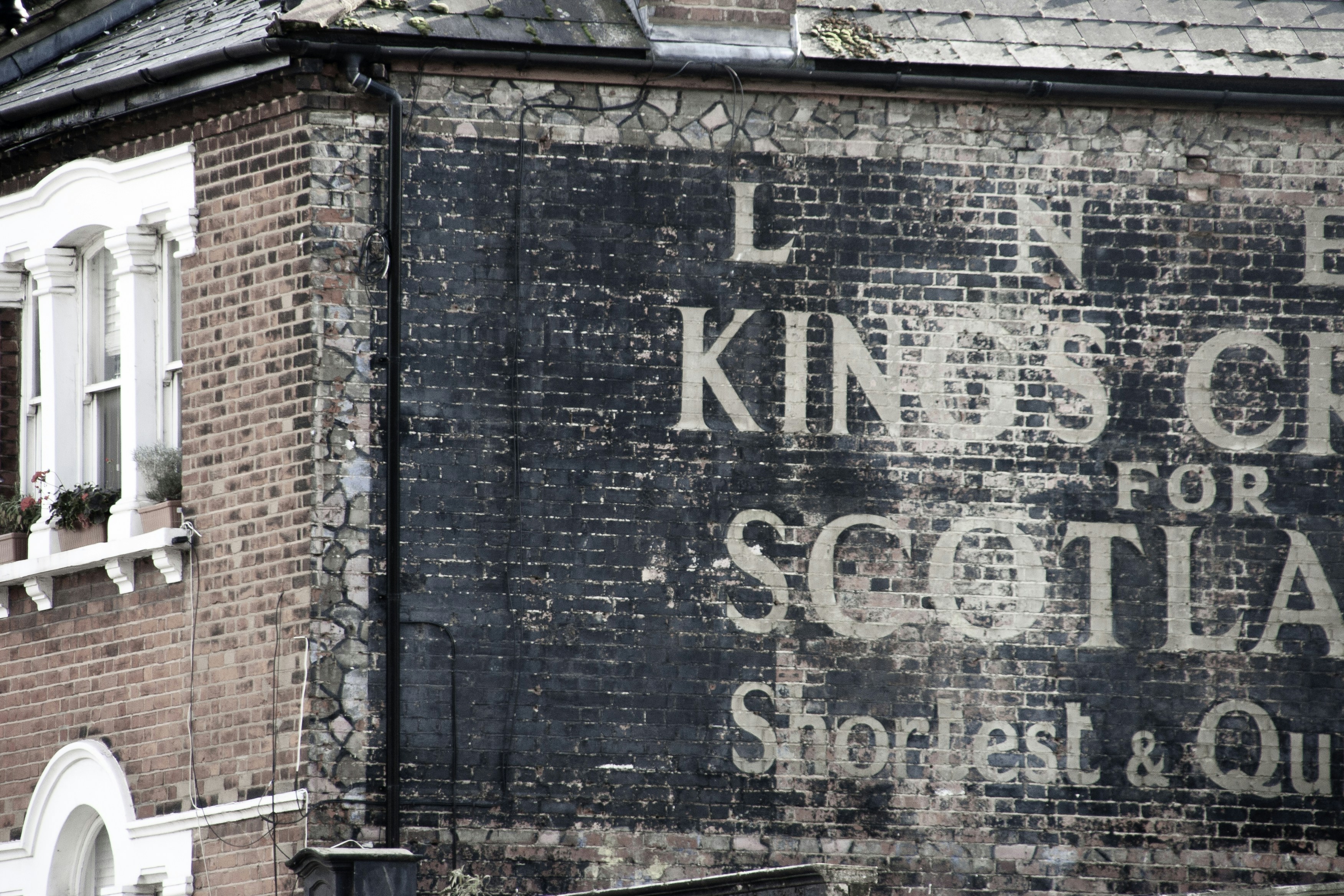 Kid's Kingdom