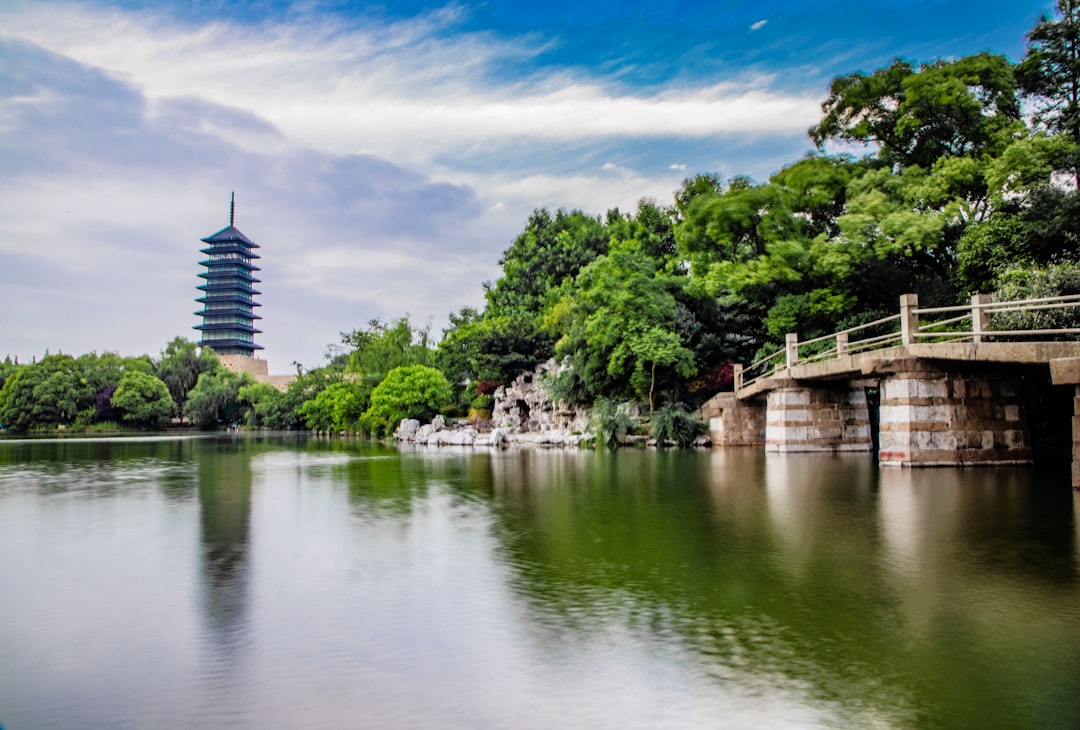 green body of water during daytime