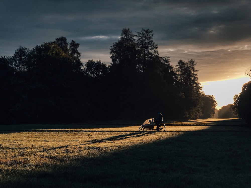 grass field and trees during daytime