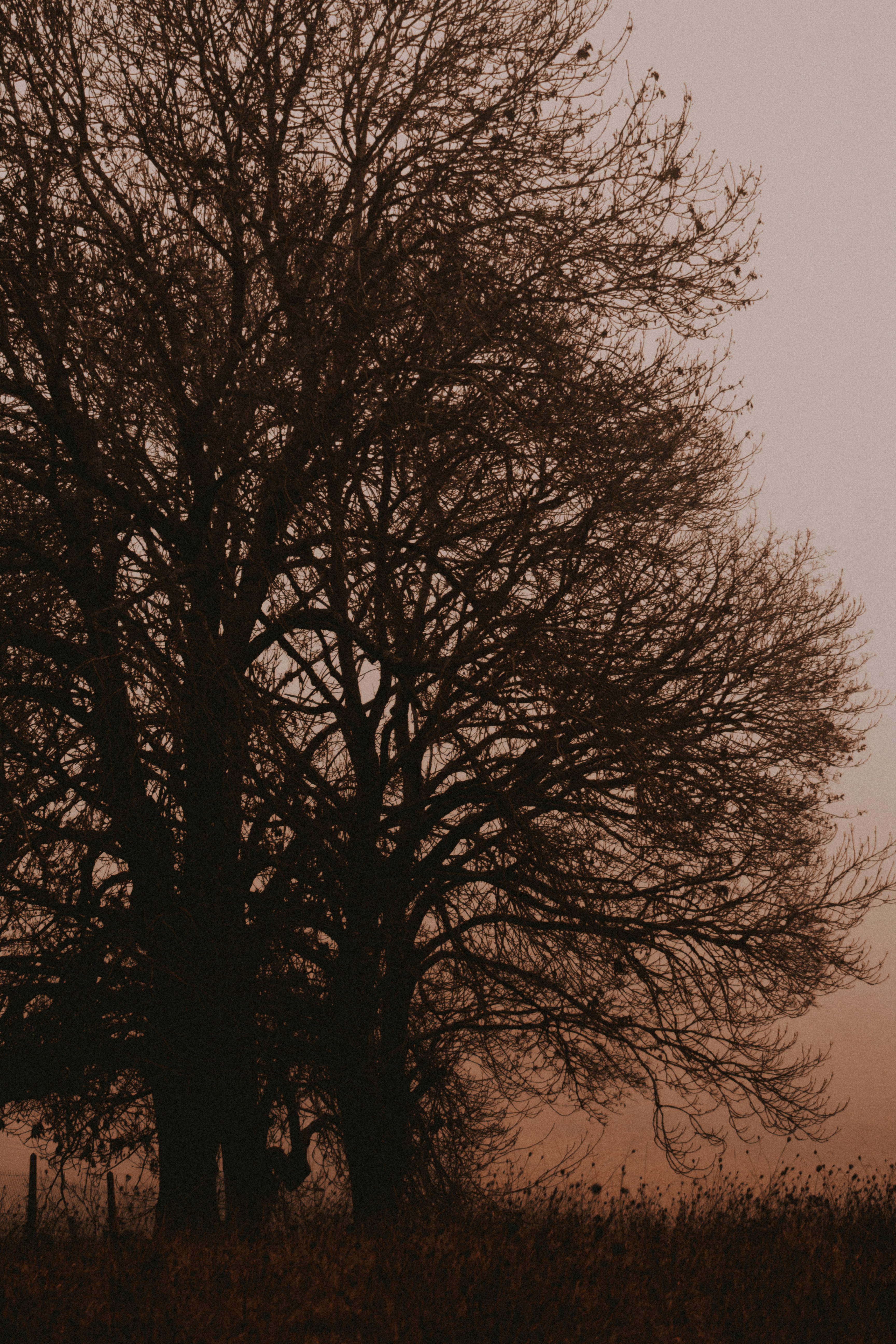 Photo by matreding