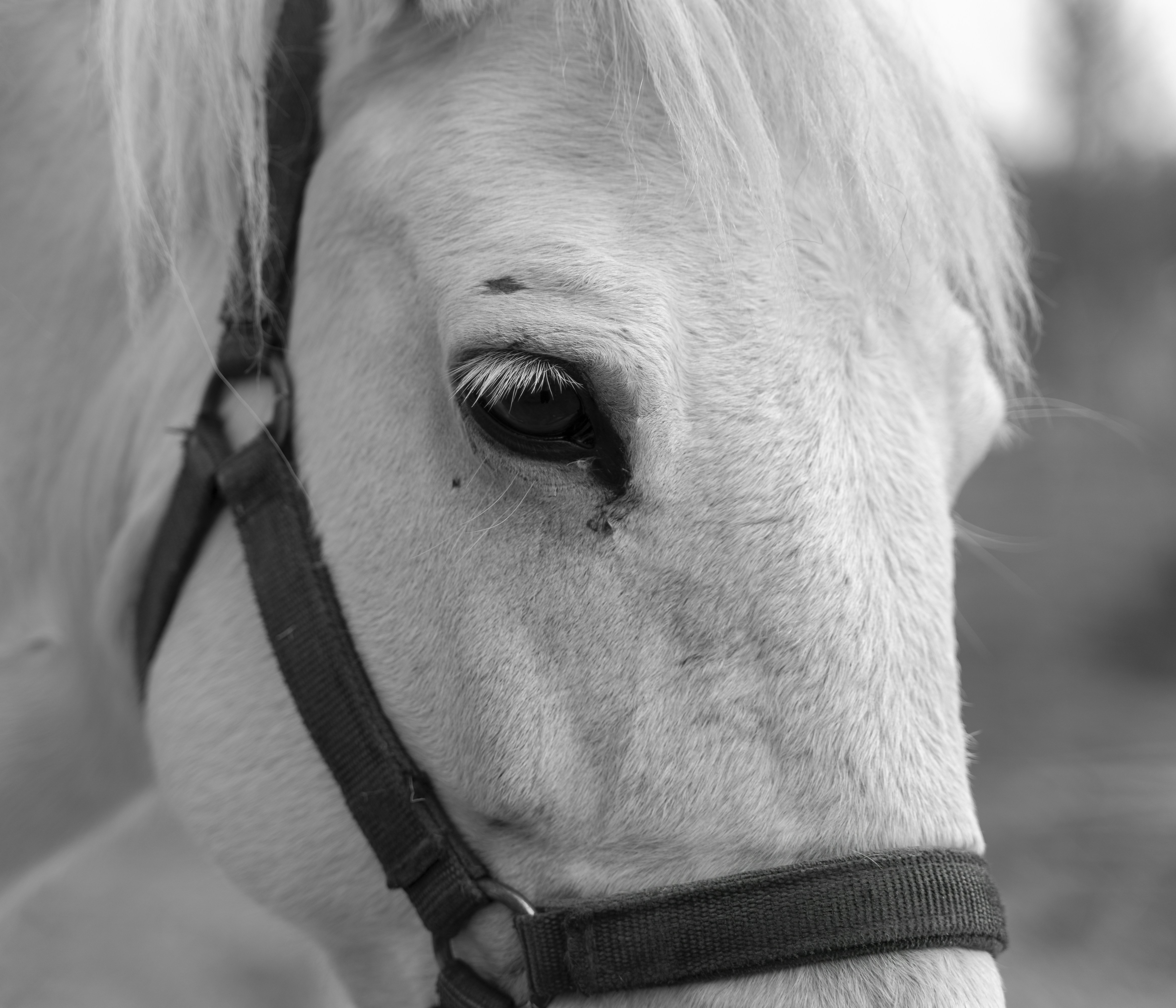 Photo by alexander_tsang