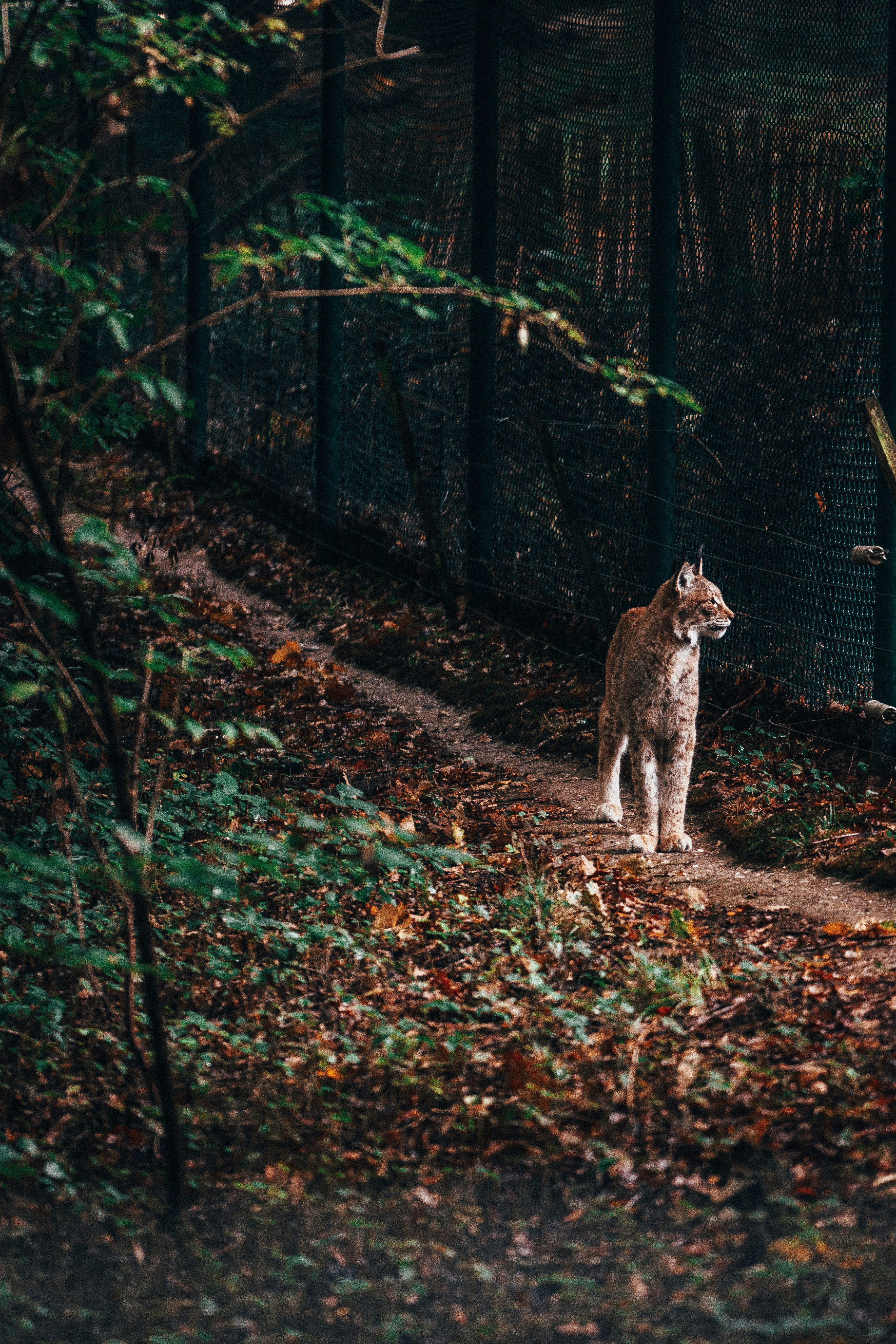 Photo by mirkosphoto