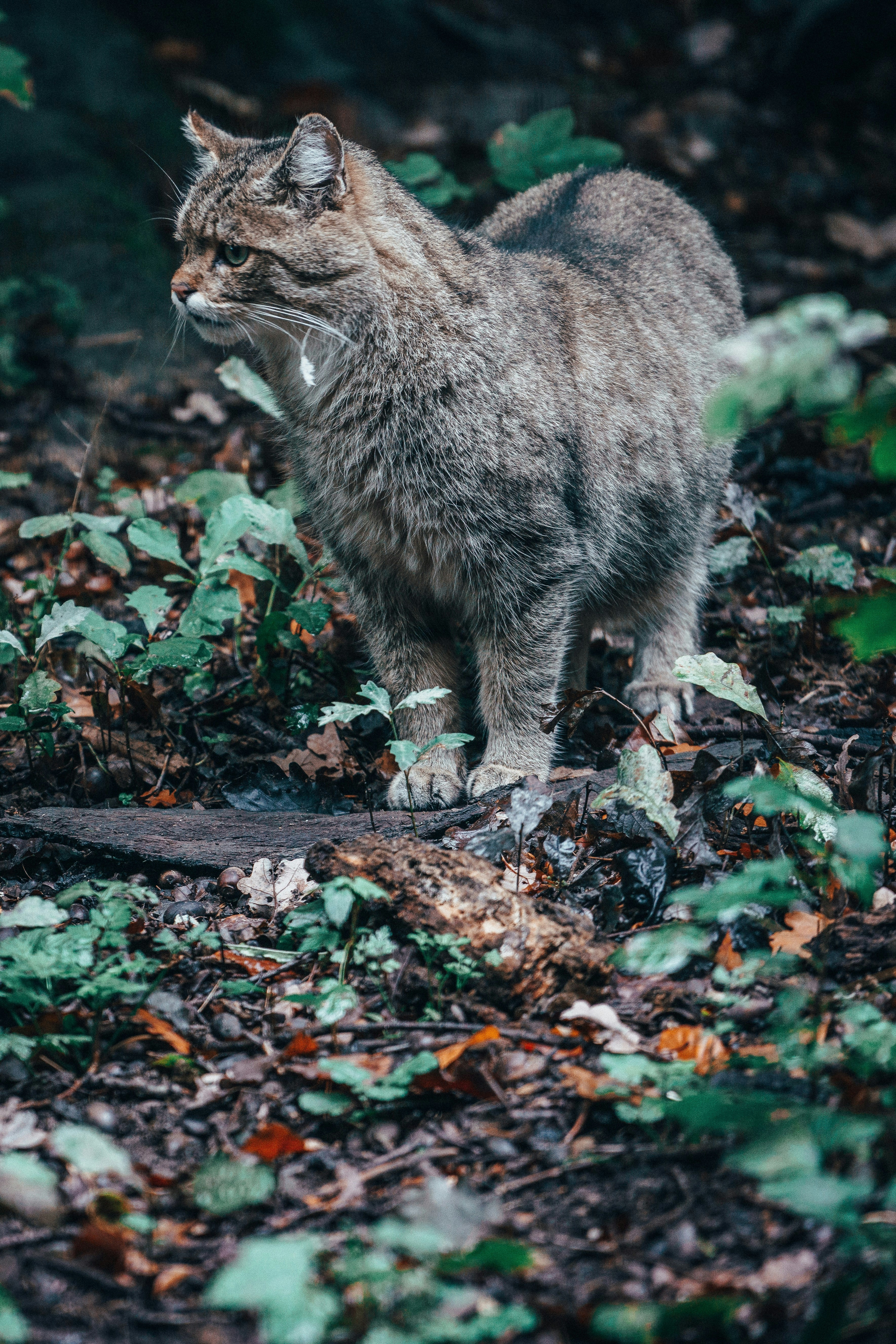 Photo by mirkosphoto