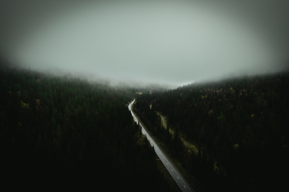 an aerial view of a road in the middle of a forest