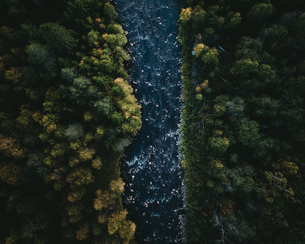 Rivière entre Tres