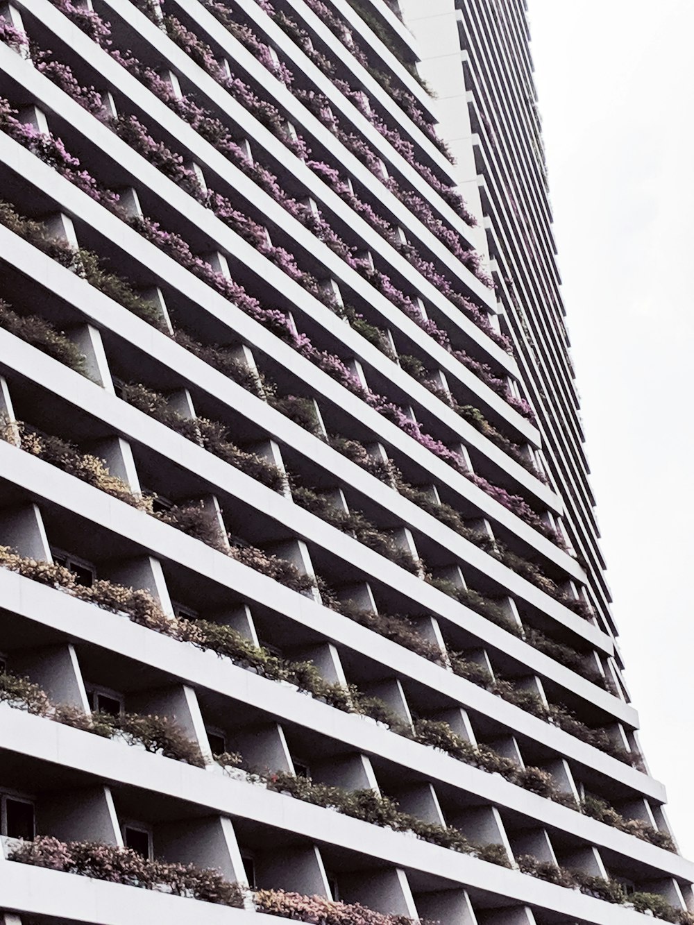 shallow focus photo of gray buildings