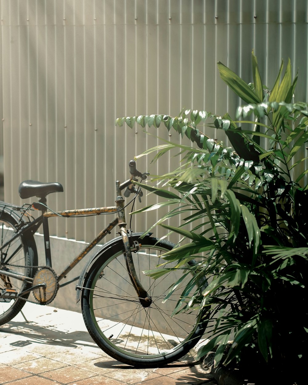 bicycle near plants