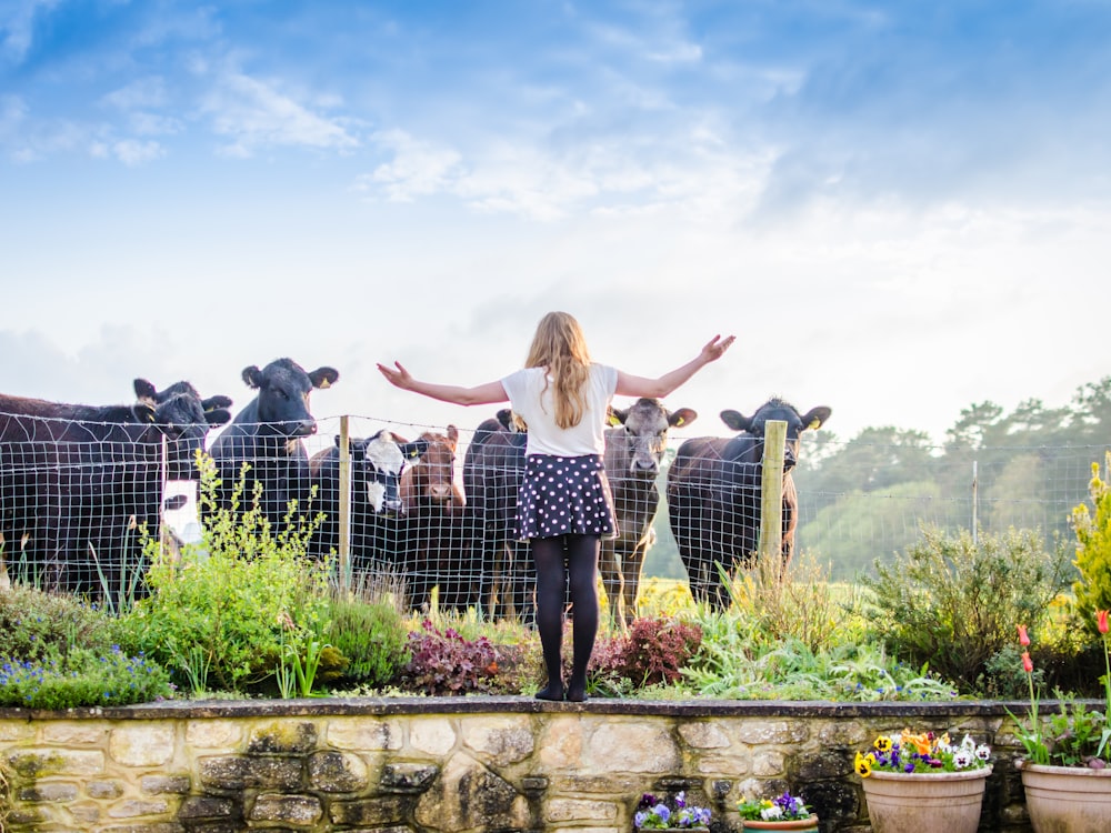 a woman standing in front of a herd of cows