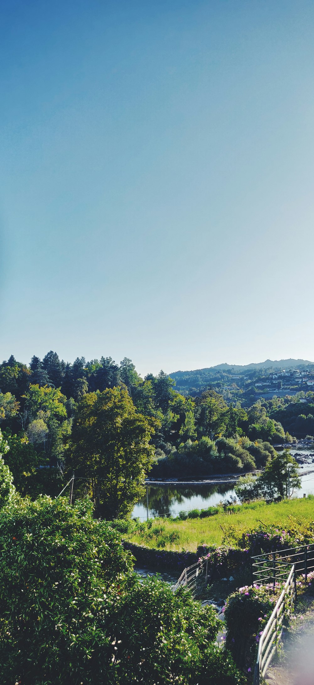 a scenic view of a lake surrounded by trees