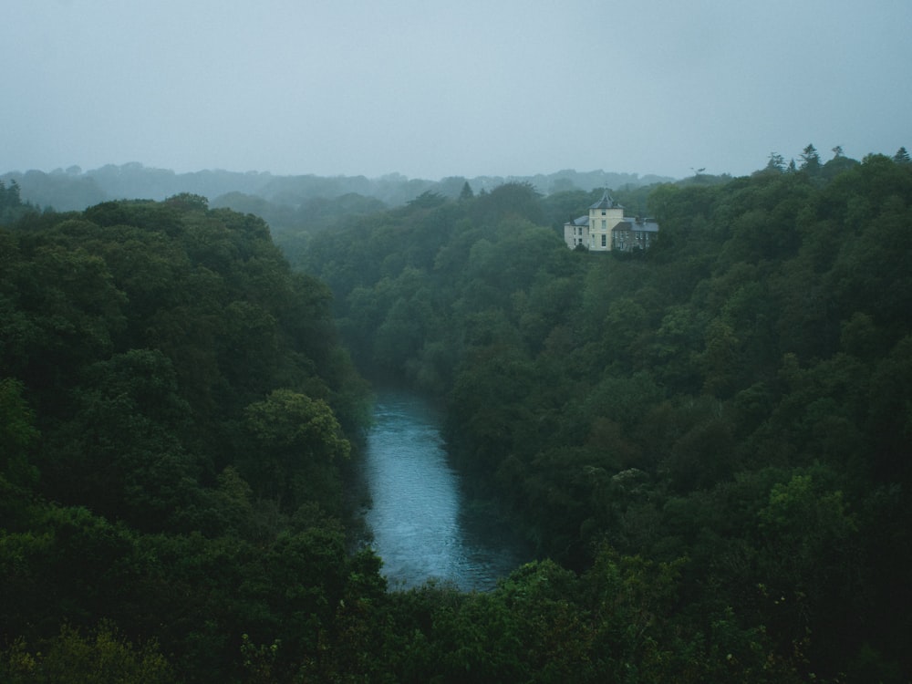 a house in the middle of a forest