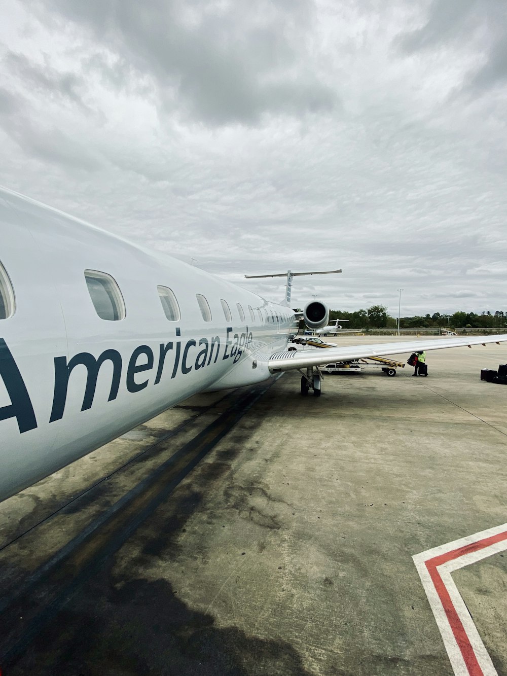 white American eagle airplane