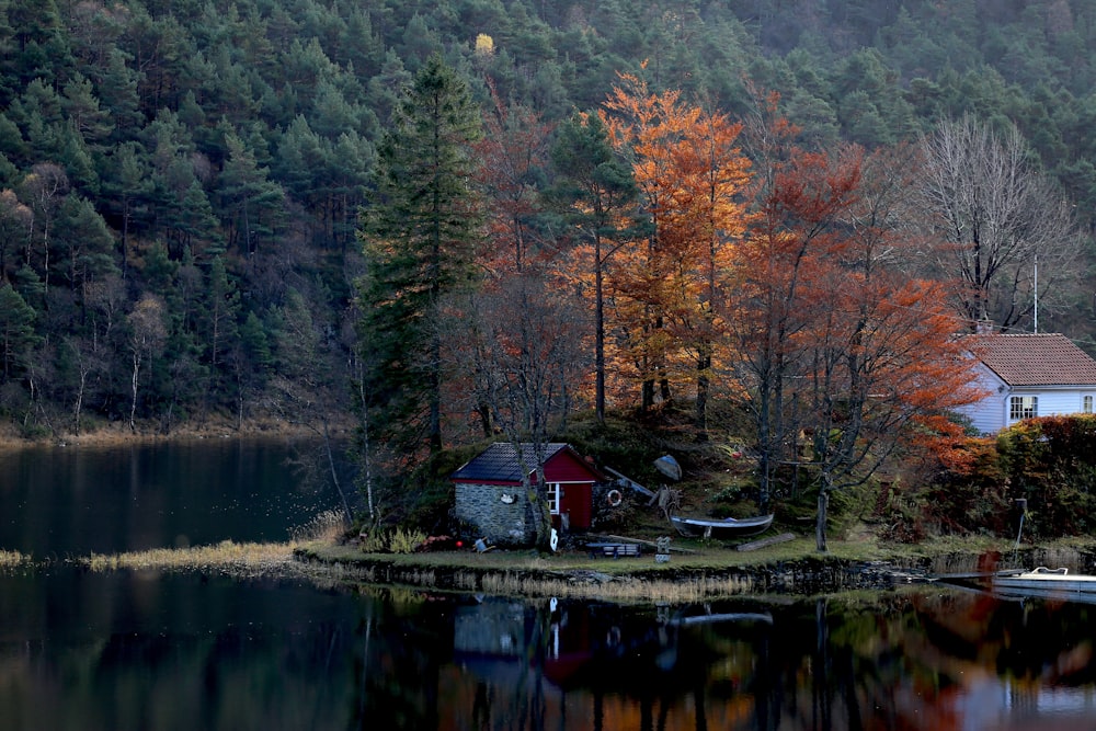 red and gray shed beside lake and trees