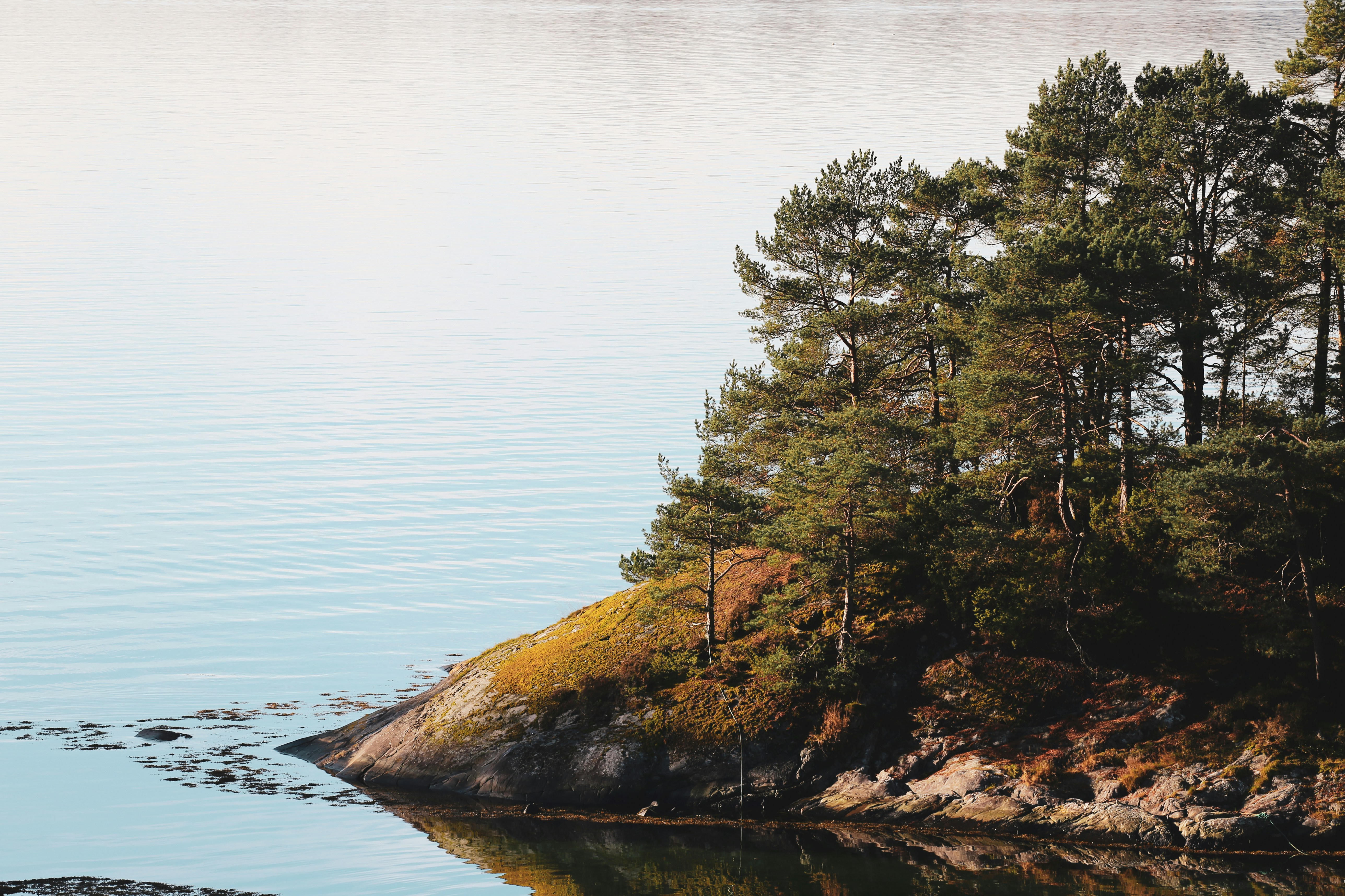 Photo by graphicnode