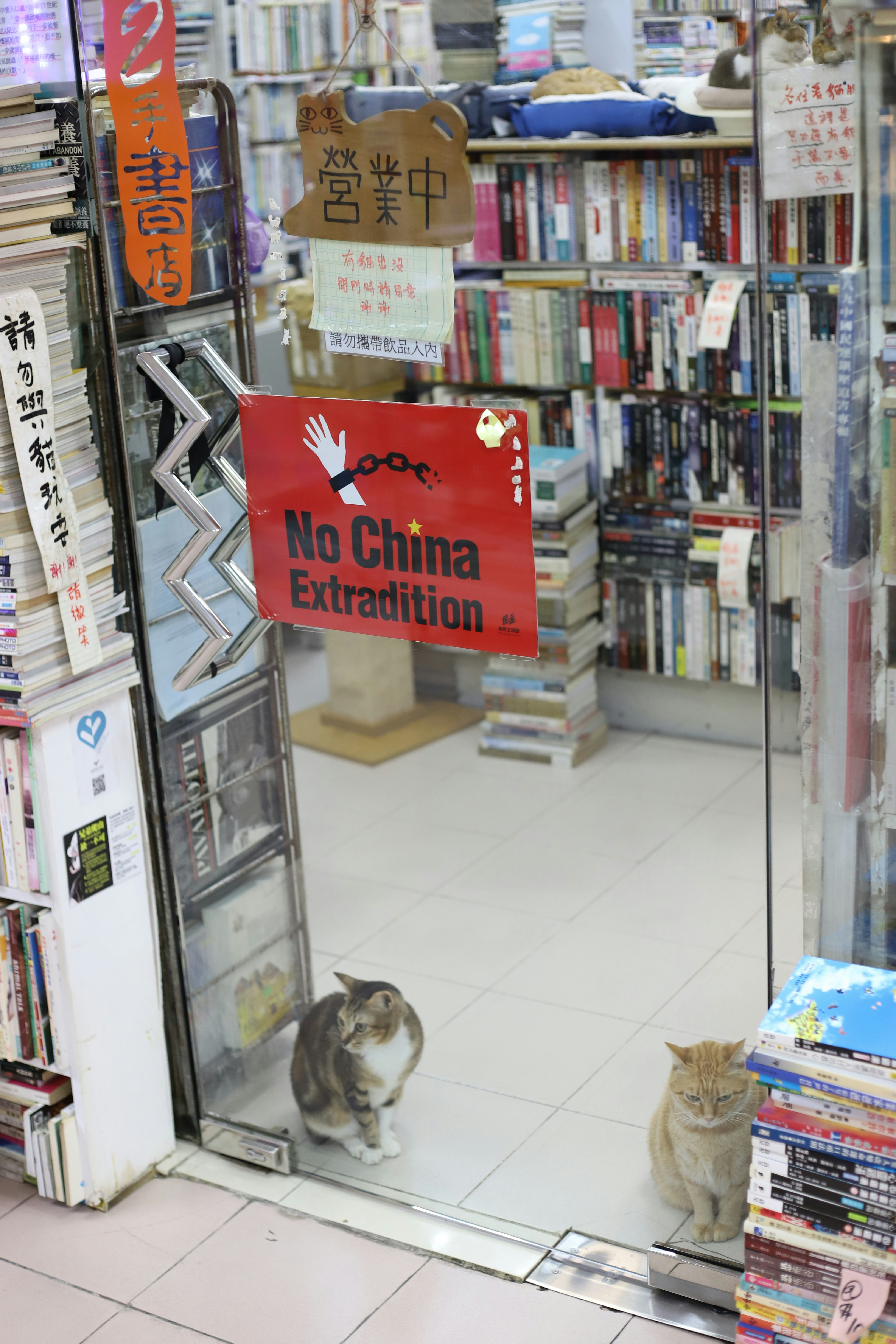 photo-1570541466107-201cee02ba36?ixid=M3wxMjA3fDB8MXxzZWFyY2h8MTR8fGZyZWUlMjBib29rc3xlbnwwfHx8fDE3NjQ1NTAzNjl8MA\u0026ixlib=rb-4.1.0