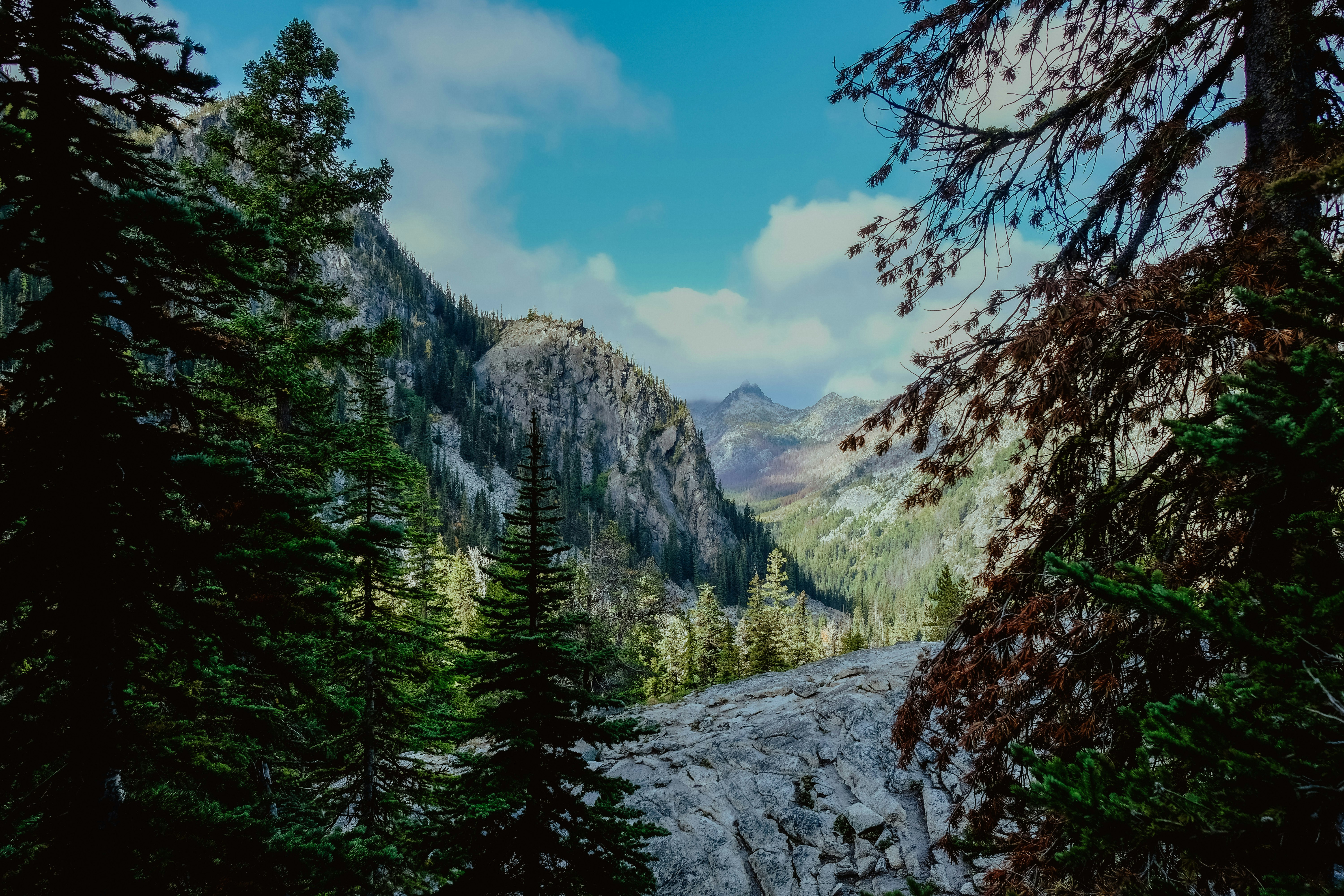 Photo by aylameinberg