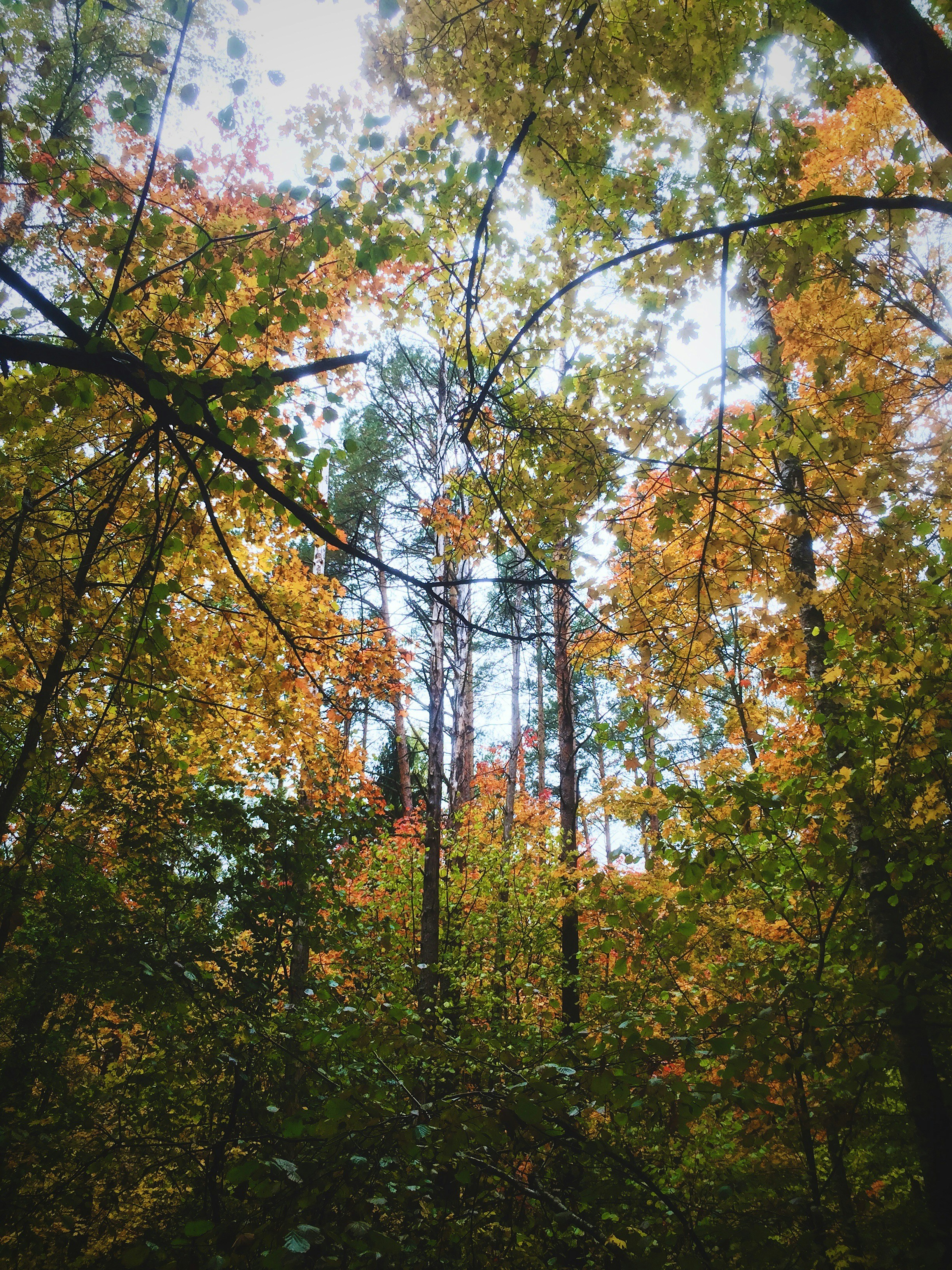 Photo by nomerovskii