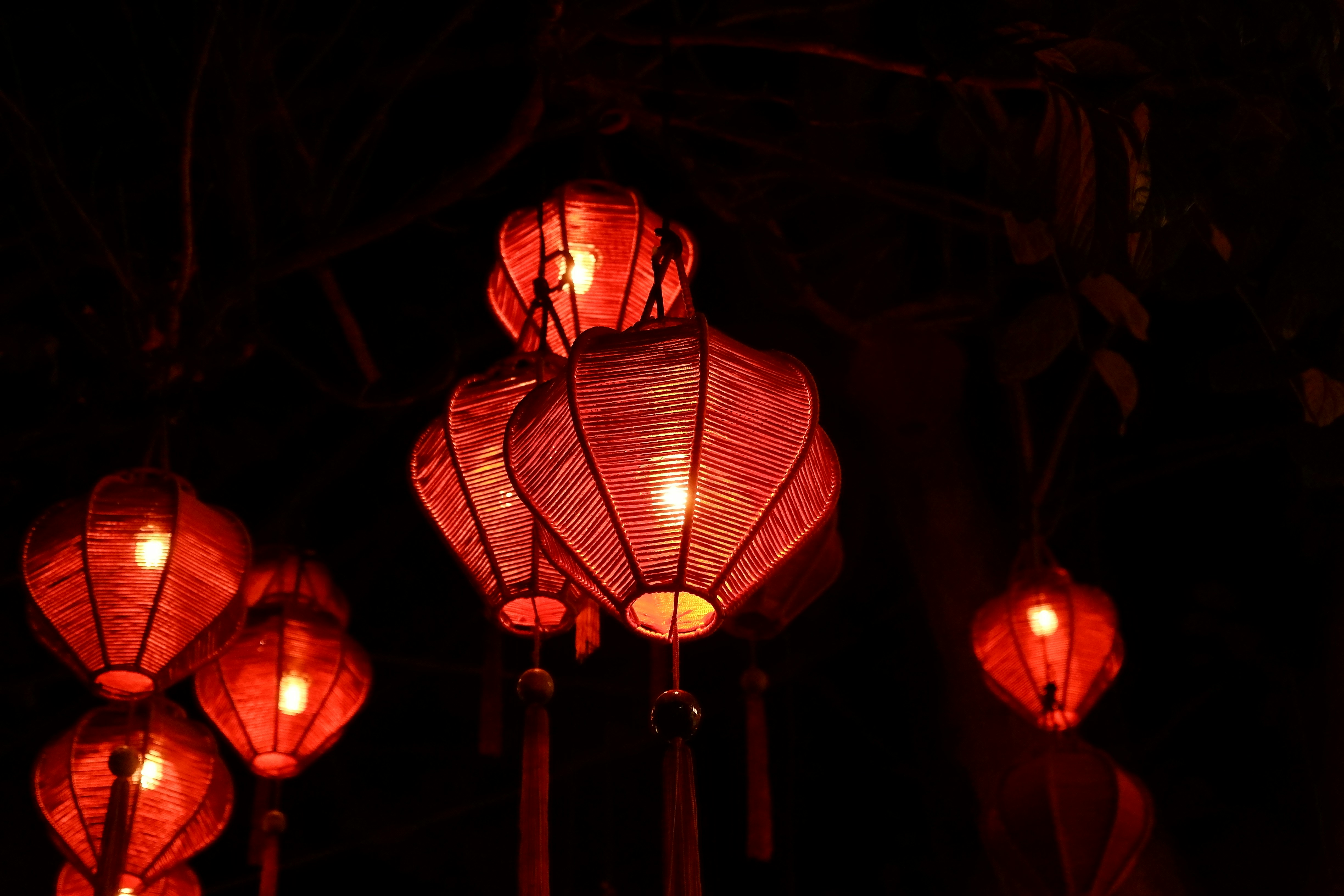 Photo by huyennguyen