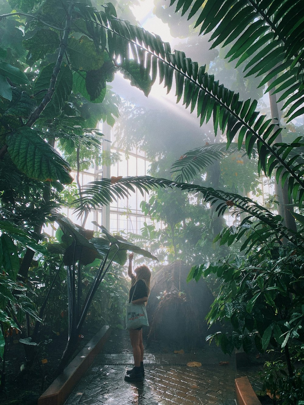 person in front of green plants