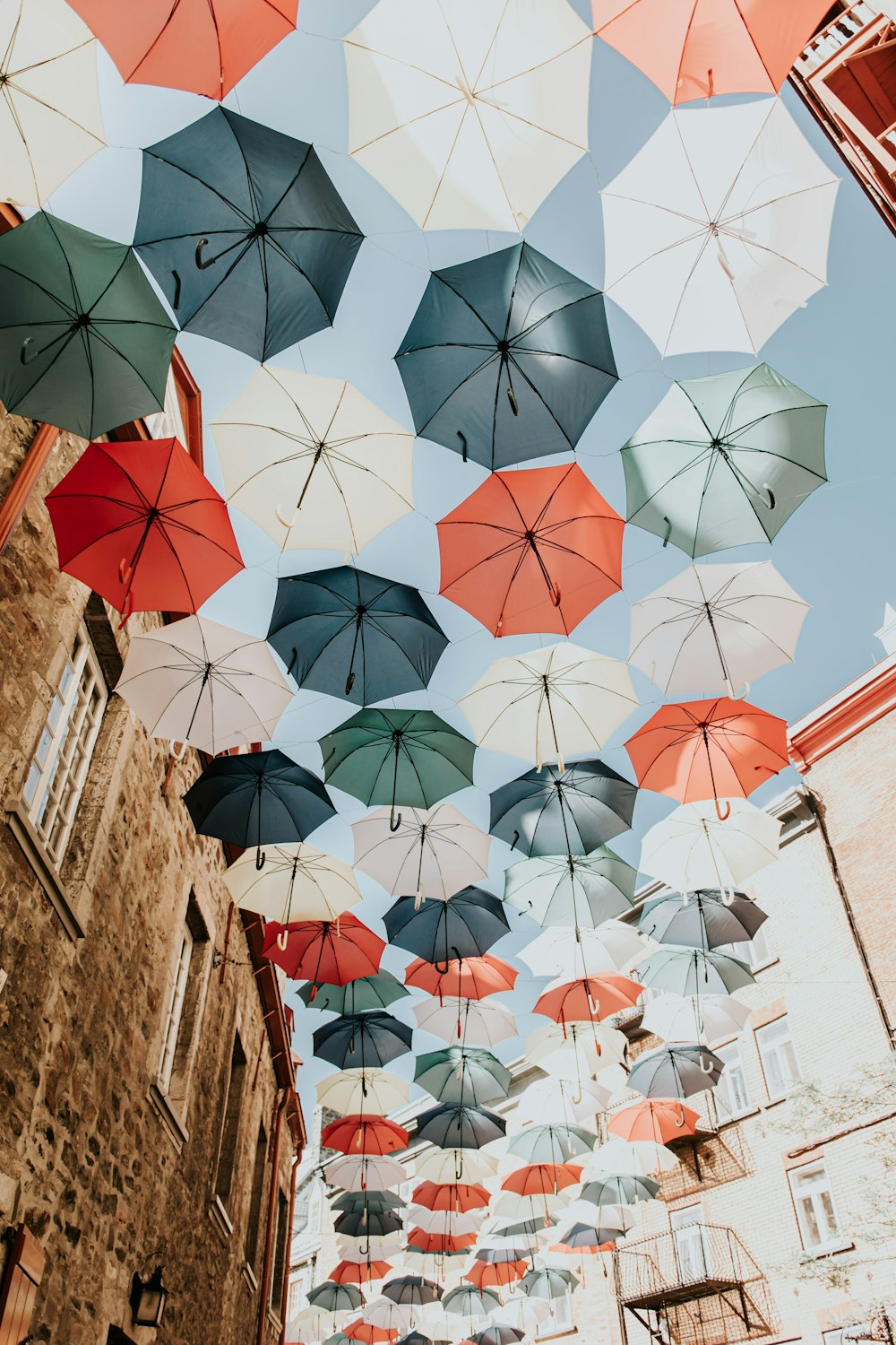 assorted-color umbrella lot