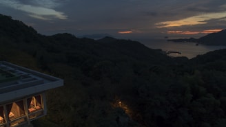 A panoramic view of a serene forest landscape at dusk, reflecting the brand’s connection to classic modernism.