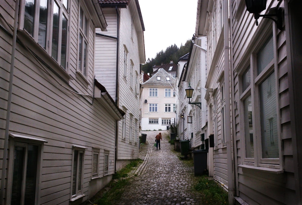 pathway near white houses