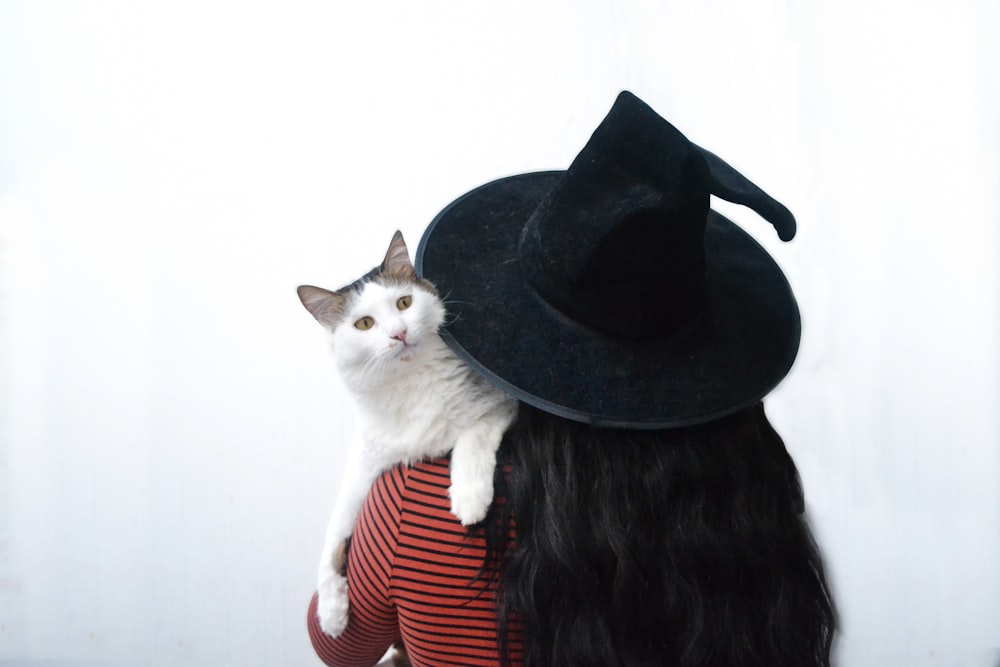 Imágenes de Disfraz De Gato  Descarga imágenes gratuitas en Unsplash