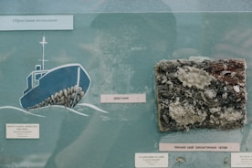 A diagram of a boat covered with mollusks alongside a real-life sample of a surface, possibly a ship hull, encrusted with shells and other marine life. Labels in a Slavic language likely categorize the organisms and explain the marine encrustation.